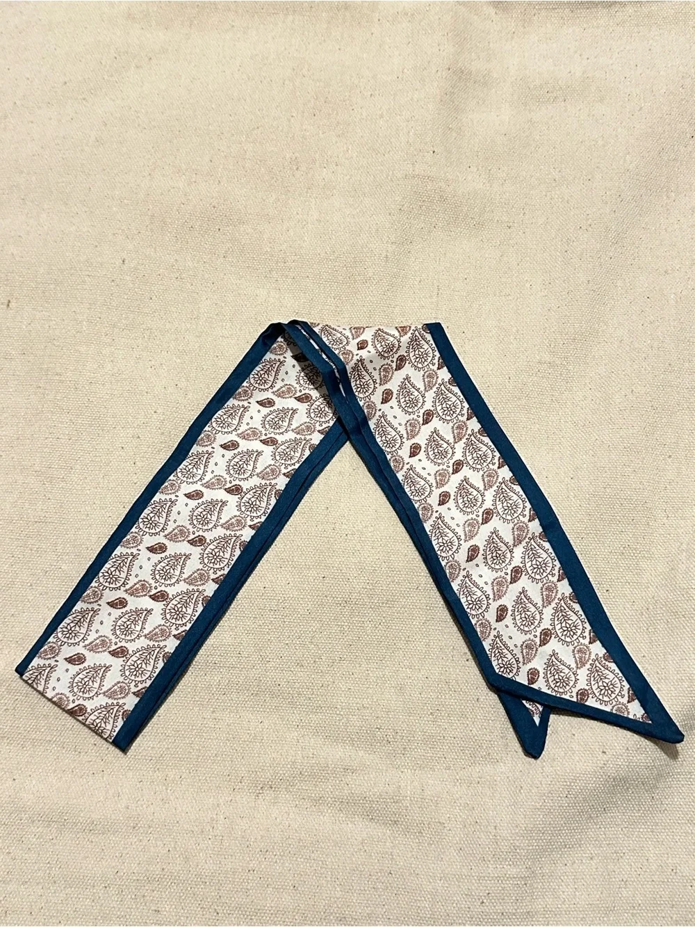 Boutique | Scarf | Twilly Slim Paisley Scarf with Blue Edge